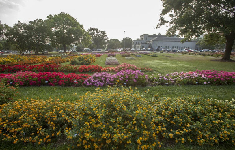 Chadwick Arboretum, United States